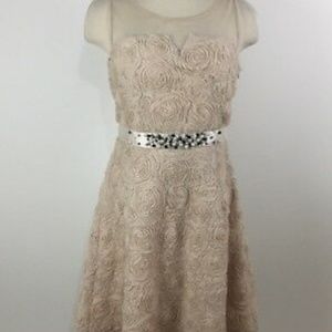 Ryu Mod Cloth Dusty Rose Dress - NWT